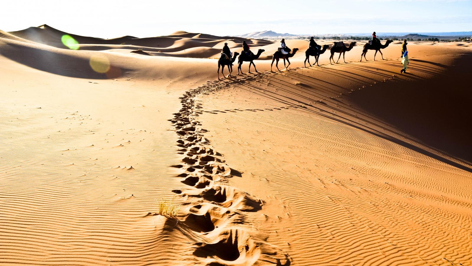 Сафари в Сахару это возможность прикоснуться к тайнам