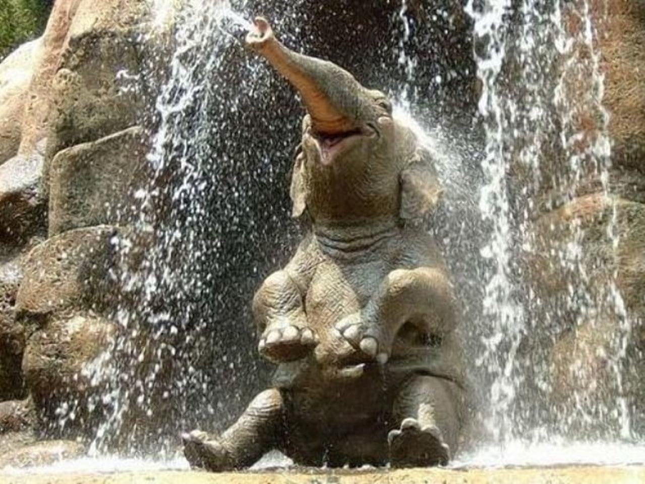 Веселый слон в пражском ЗОО