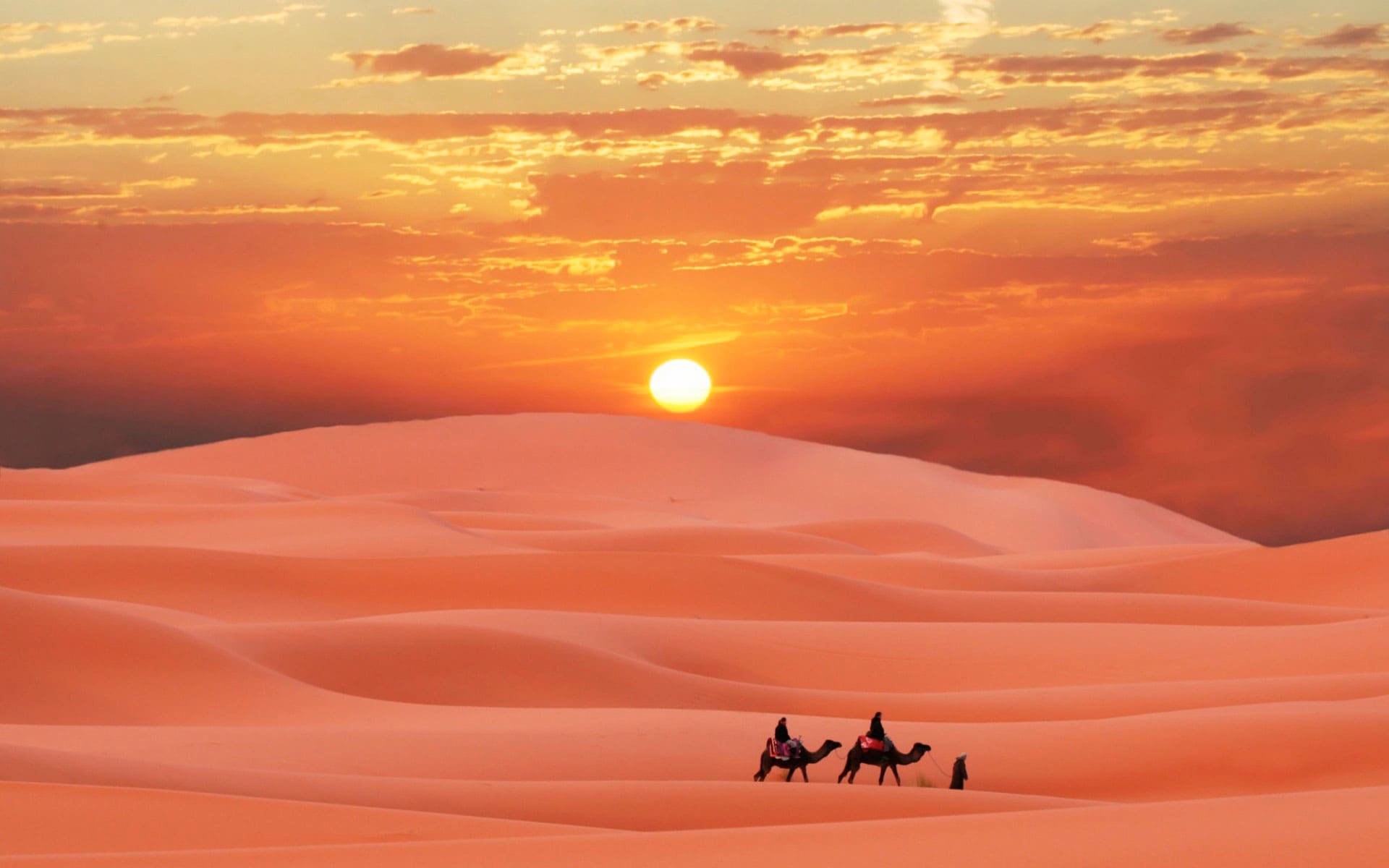 Арабы знают что на рассвете можно встретит в пустыне Каркаданна