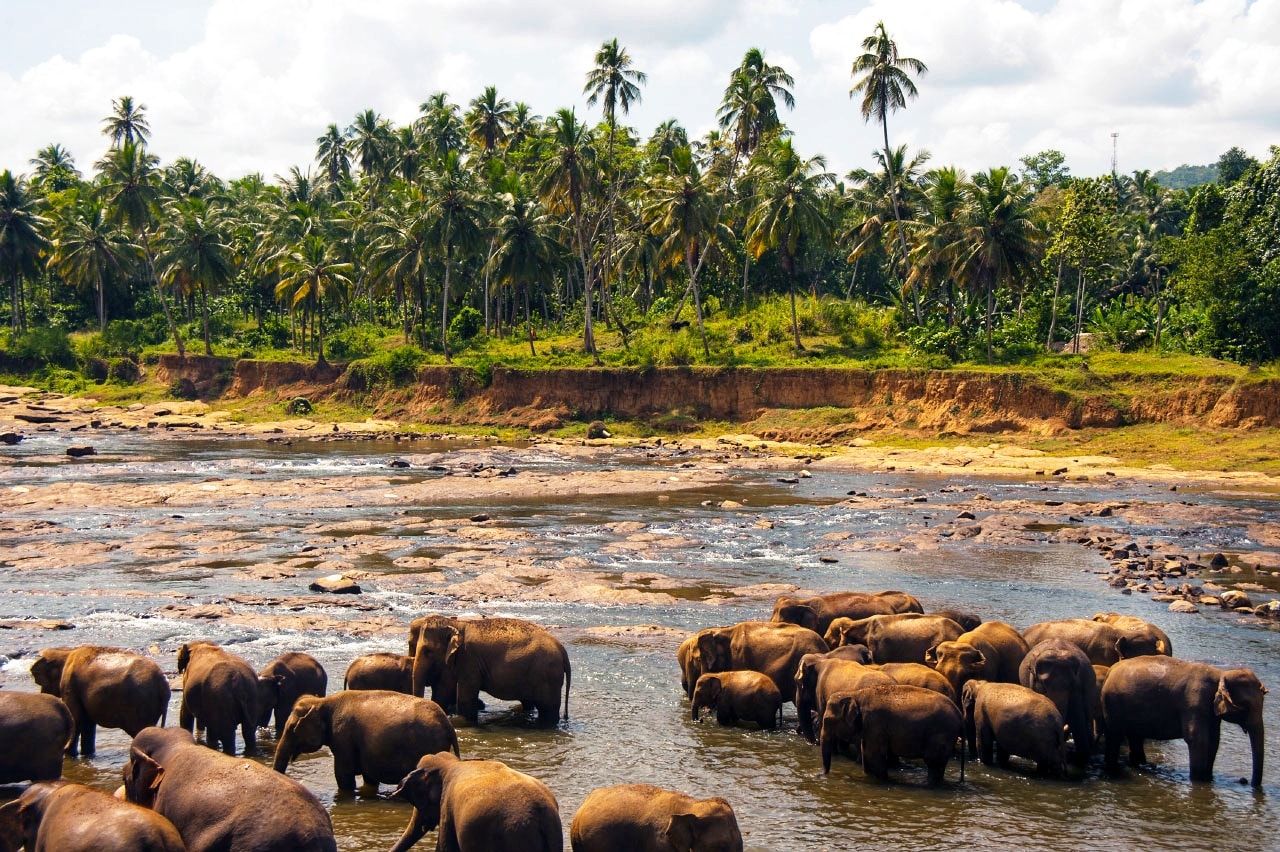 Национальные парки Шри Ланки