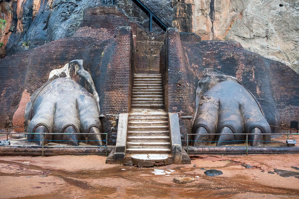 Лапы рептилии, как апофеоз львиного вранья