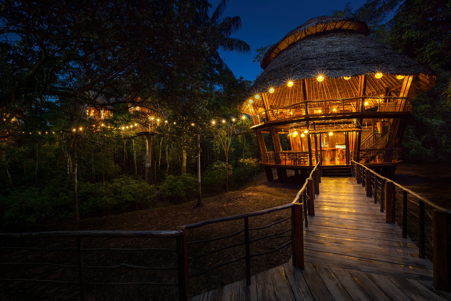 Treehouse Lodge