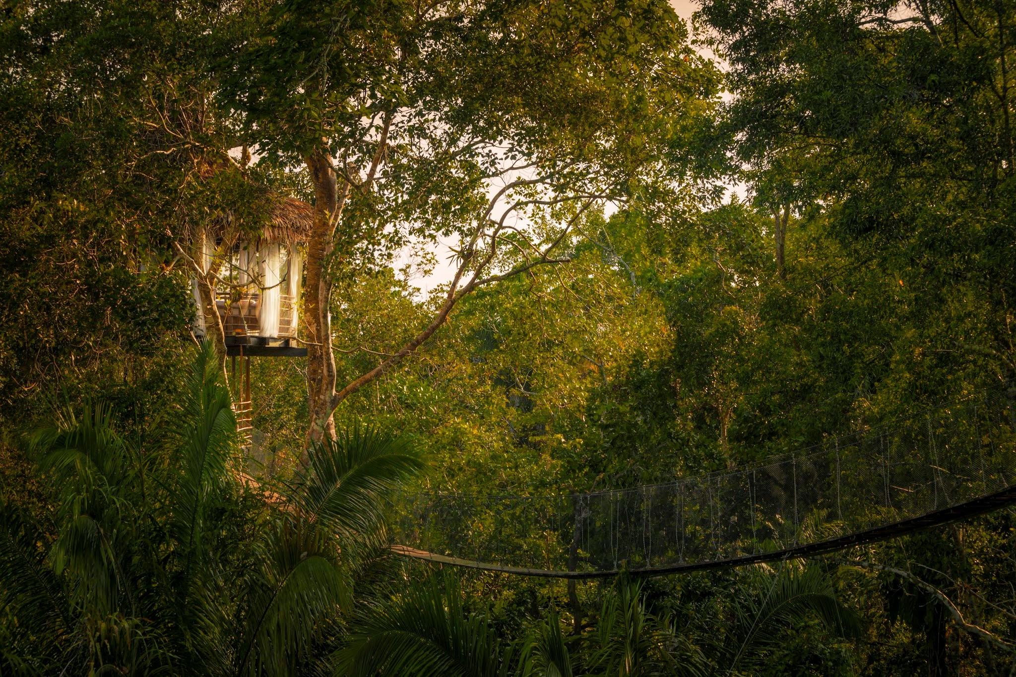 Treehouse Lodge дорога в номер