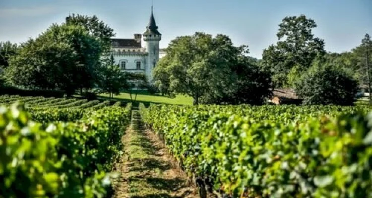 Винные дороги Германии и Франции