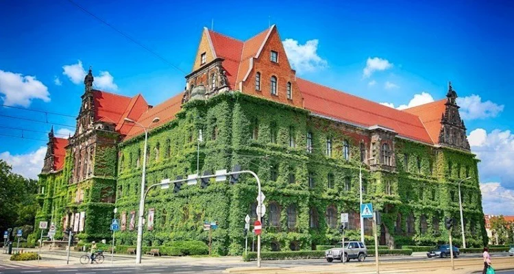 Цветочная неделька: Амстердам + Париж