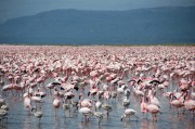7 причин посетить Танзанию