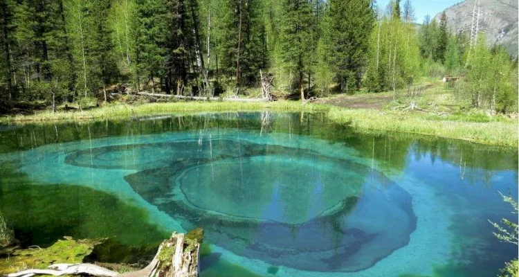 Путешествие по Алтаю