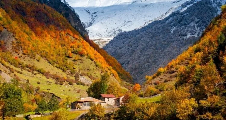 Чем порадует Грузия осенью