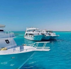 Новый маршрут! Шарм-эль-Шейх из Бреста