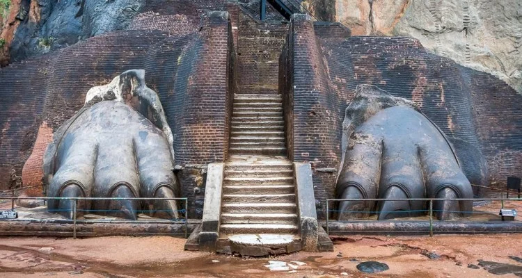 Убежище звездного демона на сказочном острове