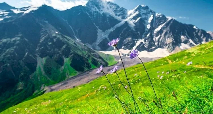 Эльбрус + горная Чечня