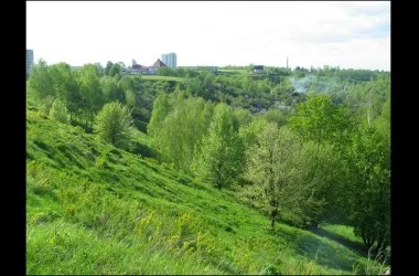 Мозырь