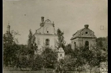 Мозырь