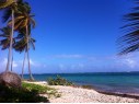 Песчаный пляж в Доминикане